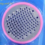 Pod Foot Files with Finishing Pads - Image 3