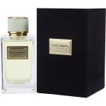 EAU DE PARFUM SPRAY 5 OZ - DOLCE & GABBANA VELVET PURE by Dolce & Gabbana
