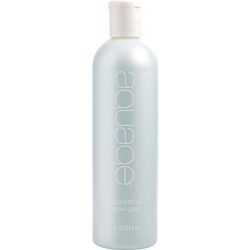 EQUALIZING DETANGLER 12 OZ - AQUAGE by Aquage