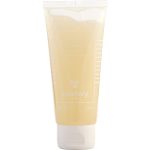 Sisley Phyto- Blanc Buff & Wash Facial Gel (Tube)--100ml/3.3oz - Sisley by Sisley