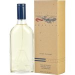 America By Perry Ellis