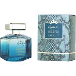 Queen Of Seduction Absolute By Antonio Banderas