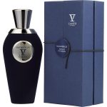 V Canto Magnificat By V Canto
